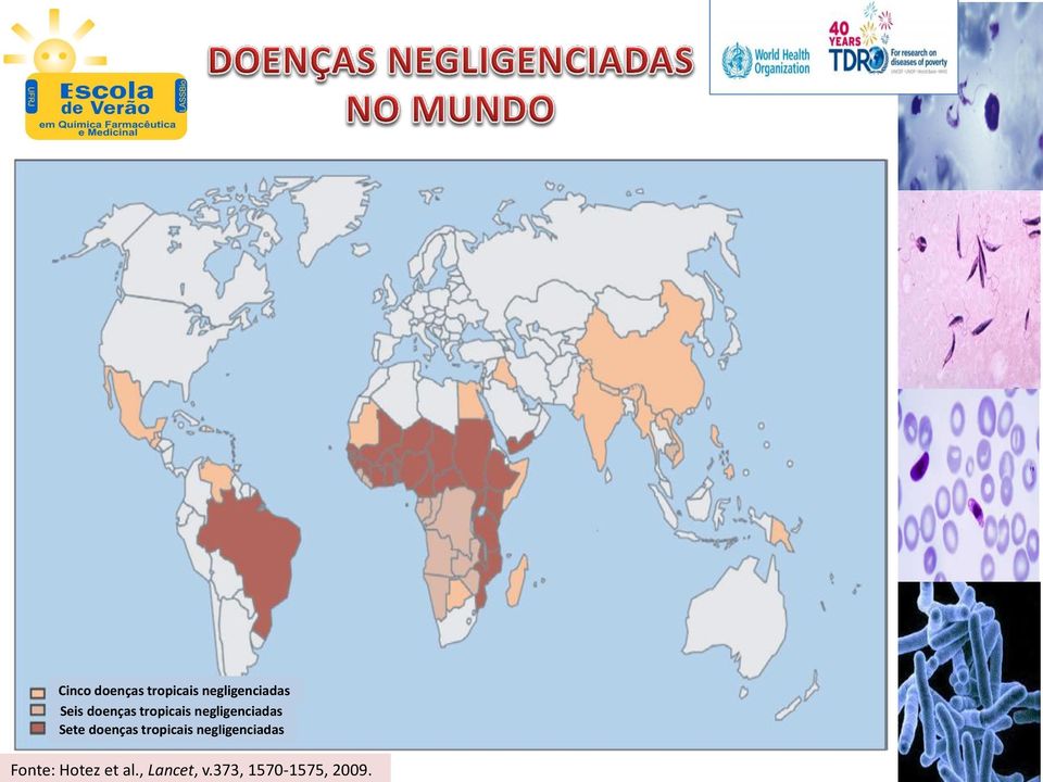 Sete doenças tropicais negligenciadas