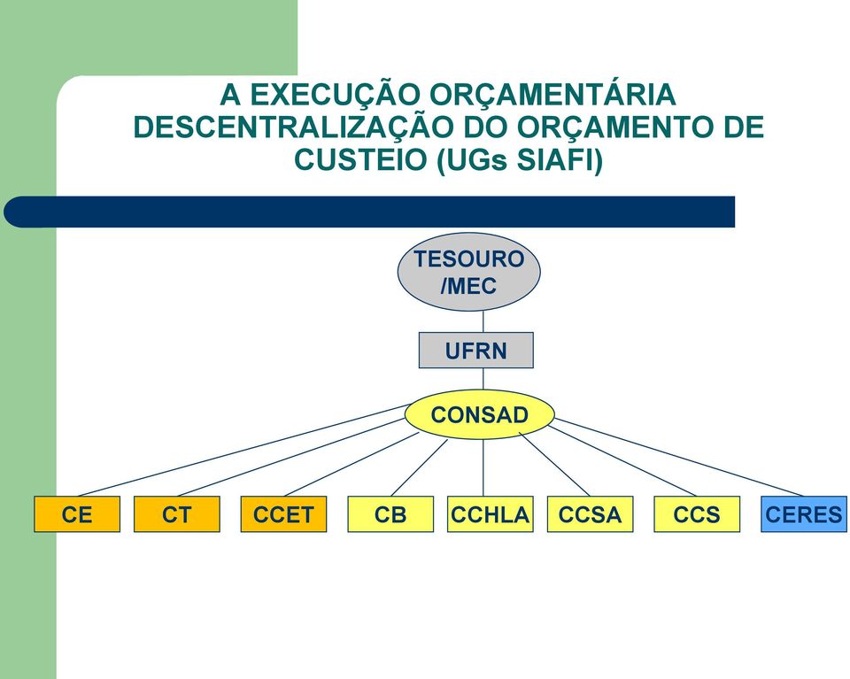 CUSTEIO (UGs SIAFI) TESOURO /MEC