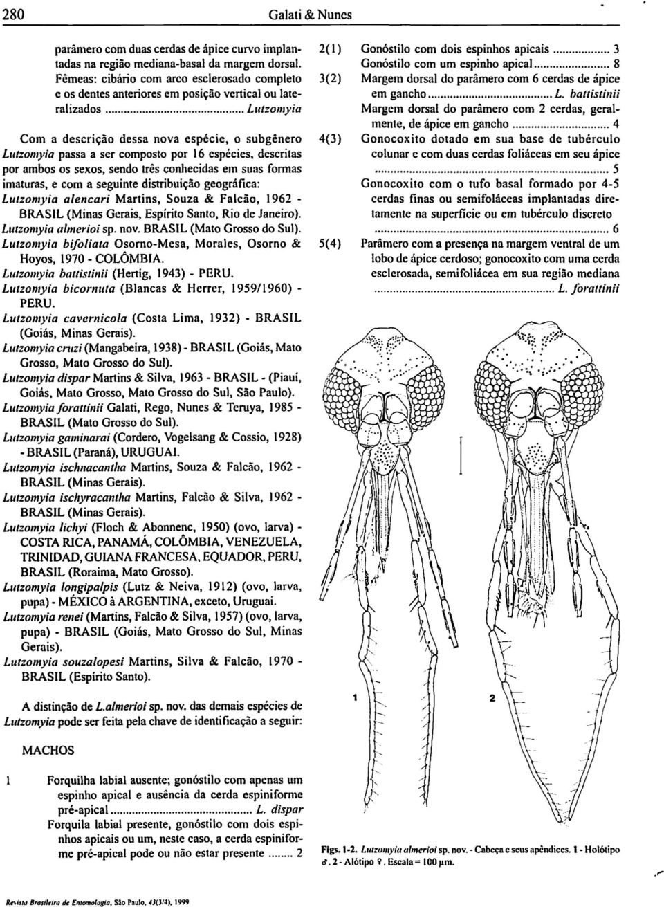 composto por 16 espécies, descritas por ambos os sexos, sendo três conhecidas em suas formas imaturas, e com a seguinte distribuição geográfica: LlItzomyia aleneari Martins, Souza & Falcão, 1962