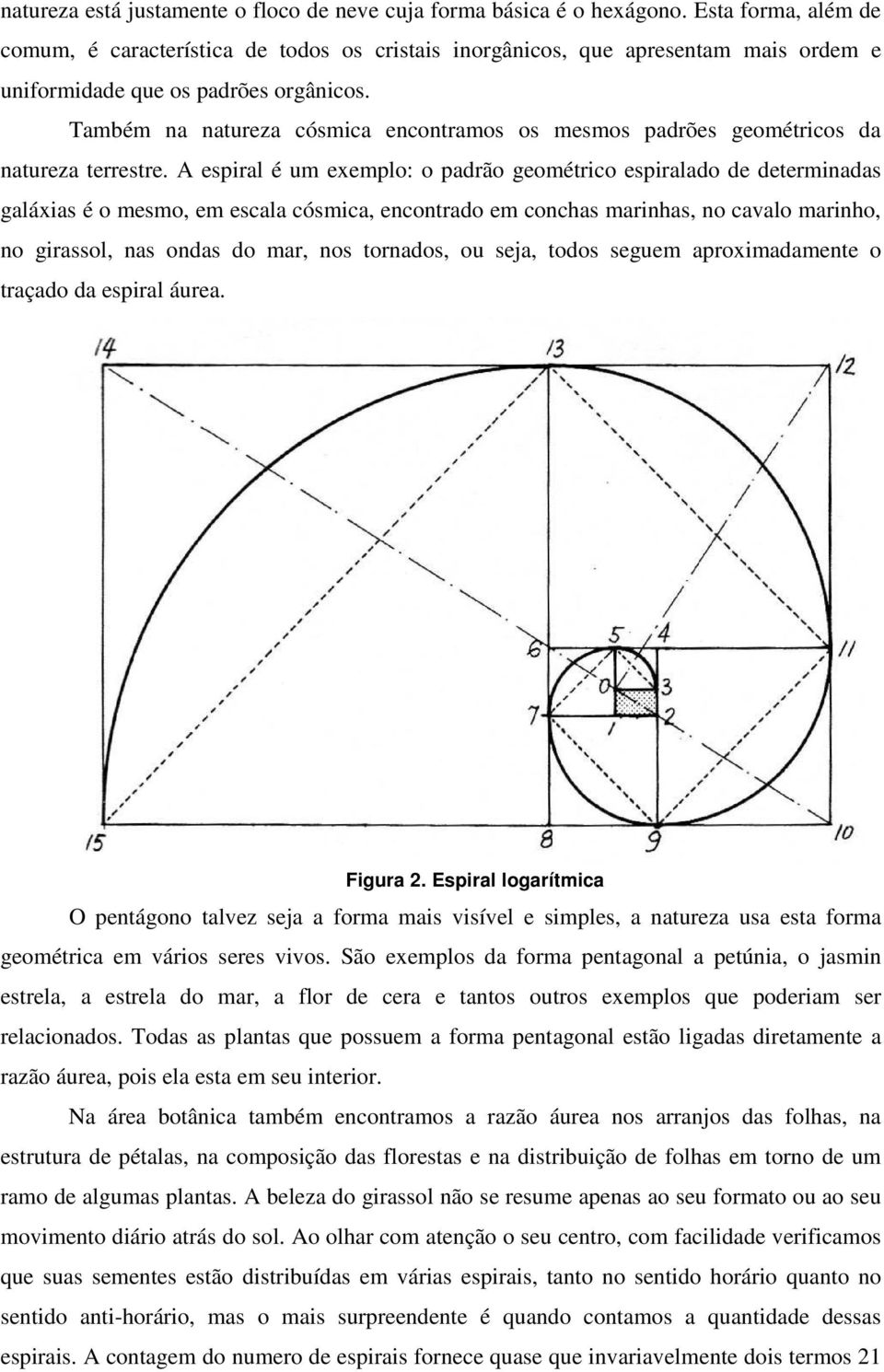 Também na natureza cósmica encontramos os mesmos padrões geométricos da natureza terrestre.