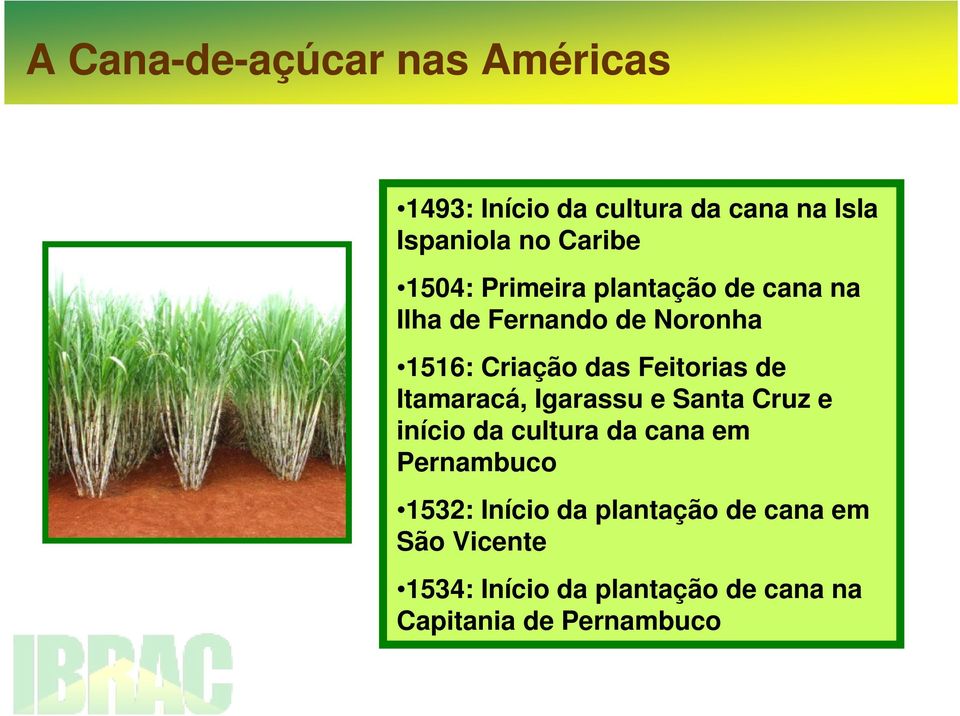 de Itamaracá, Igarassu e Santa Cruz e início da cultura da cana em Pernambuco 1532: Início