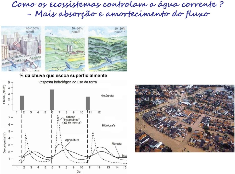 - Mais absorção e amortecimento