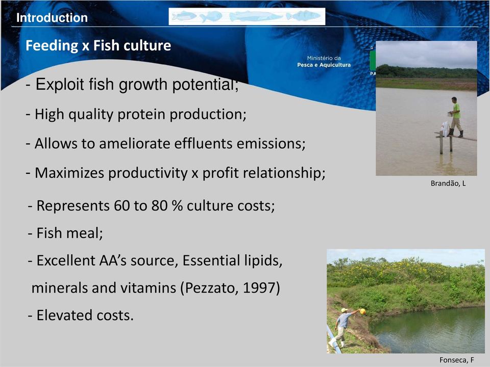 relationship; - Represents 60 to 80 % culture costs; - Fish meal; - Excellent AA s source,