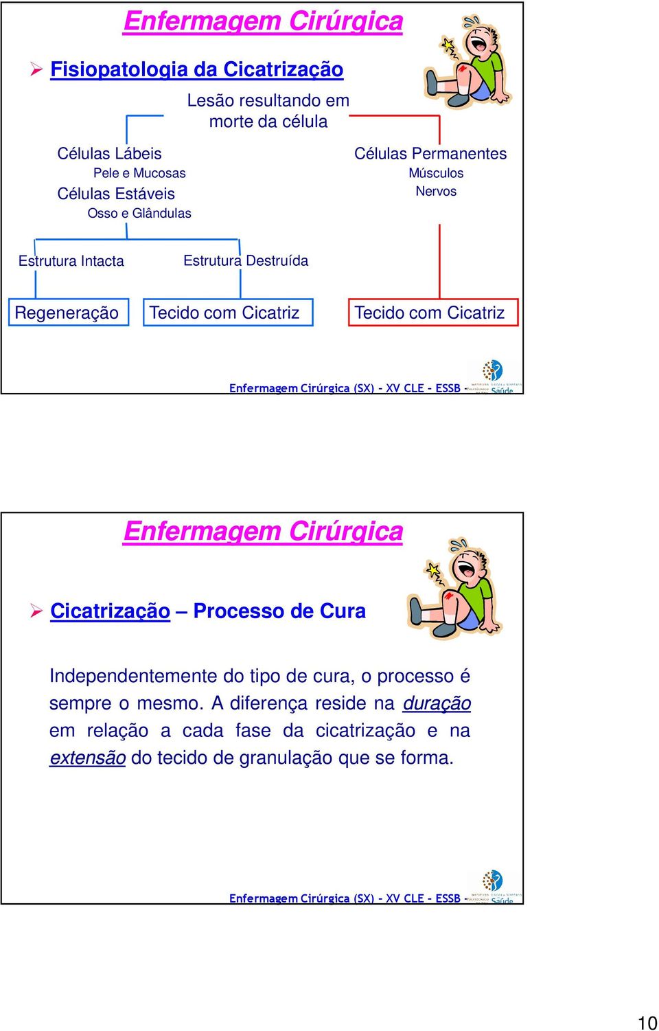 Tecido com Cicatriz Cicatrização Processo de Cura Independentemente do tipo de cura, o processo é sempre o mesmo.