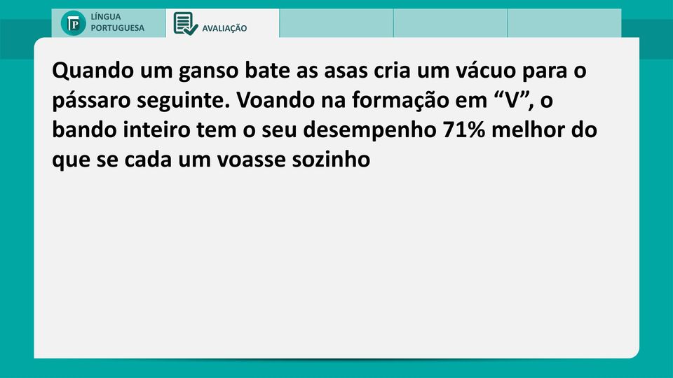 Voando na formação em V, o bando inteiro