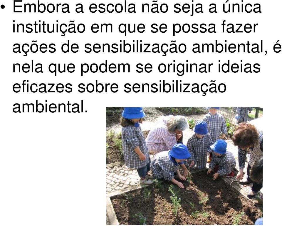 sensibilização ambiental, é nela que podem