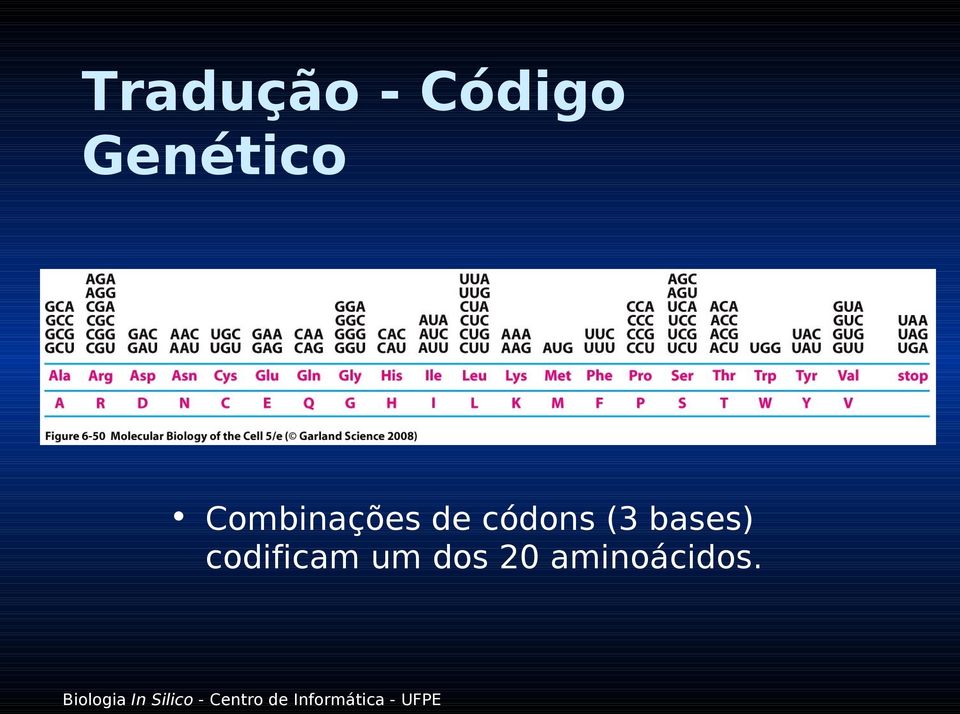 de códons (3 bases)