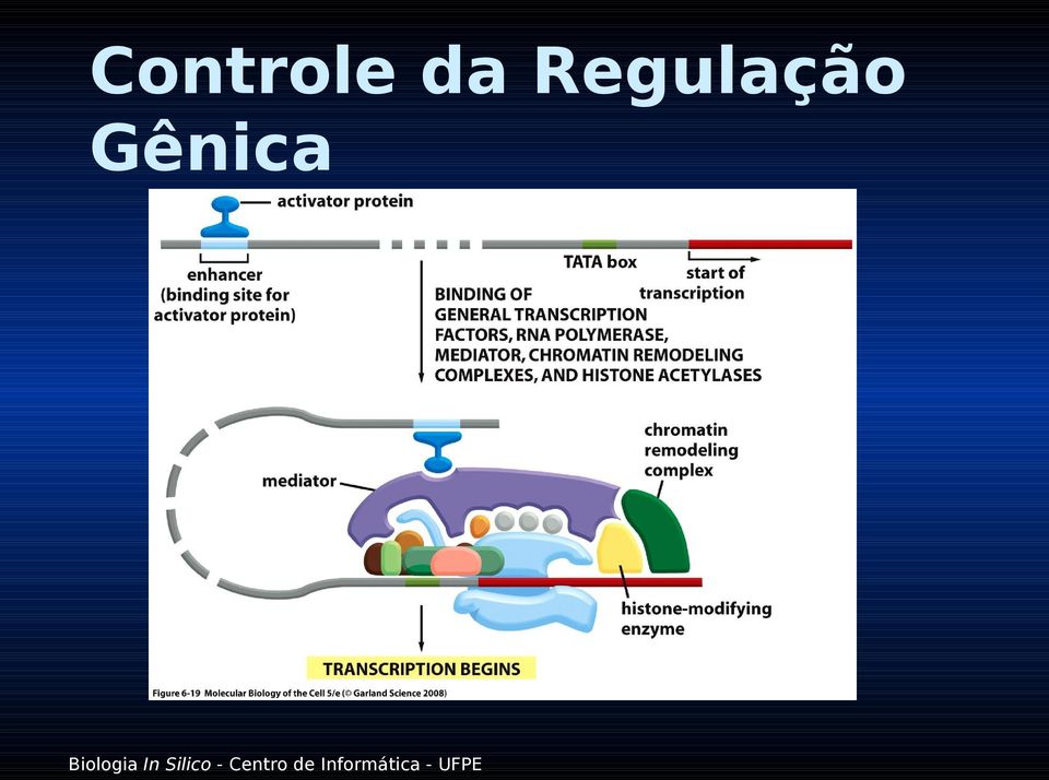 Regulação