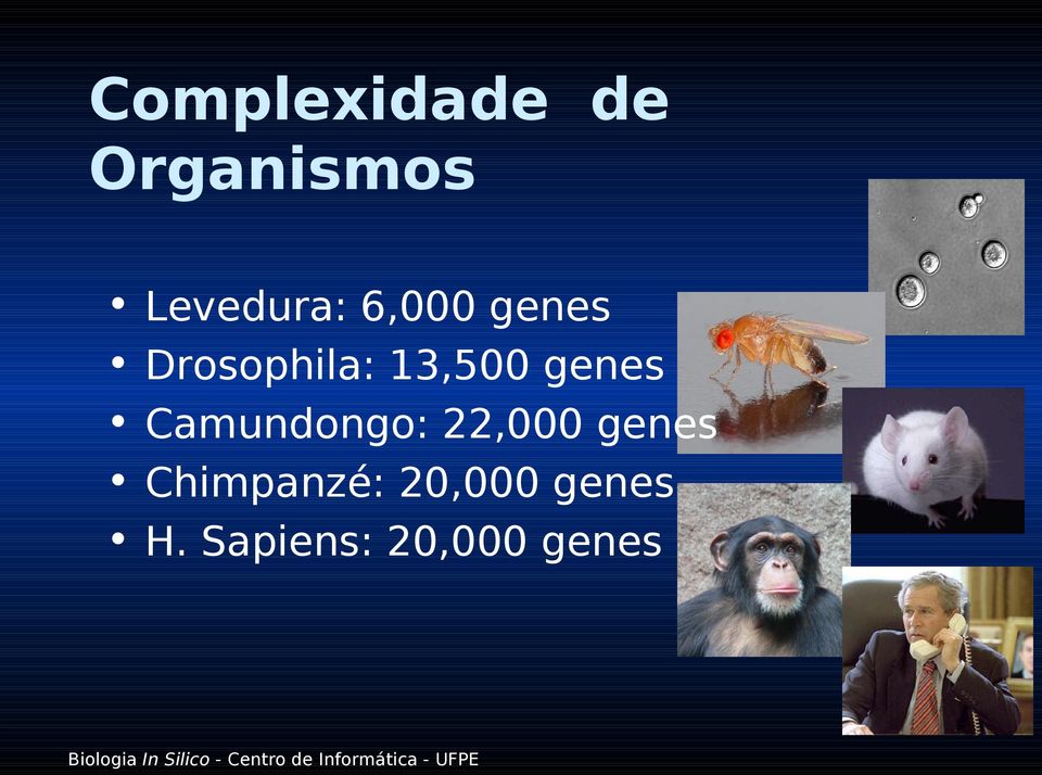 Camundongo: 22,000 genes Chimpanzé: