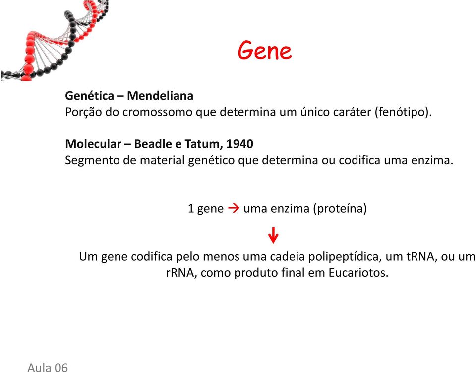 Molecular Beadle e Tatum, 1940 Segmento de material genético que determina ou