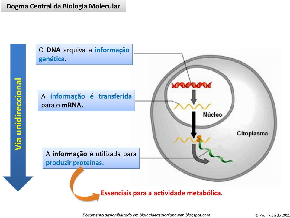 Via unidireccional A informação é transferida