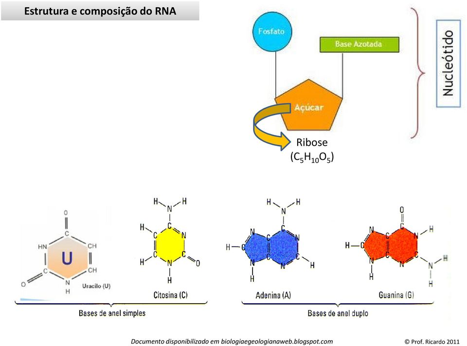 do RNA