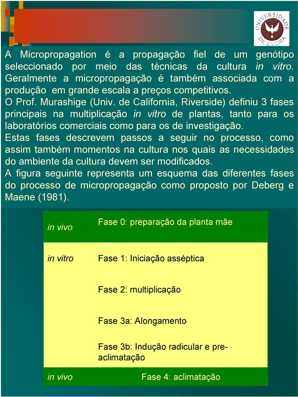 de California, Riverside) definiu 3 fases principais na multiplicação in vitro de plantas, tanto para os laboratórios comerciais como para os de investigação.