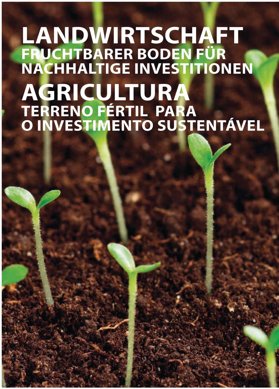 INVESTITIONEN AGRICULTURA