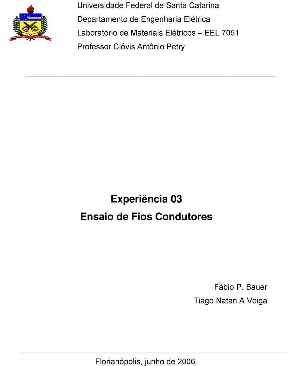 Professor Clóvis Antônio Petry Experiência 03 Ensaio de Fios