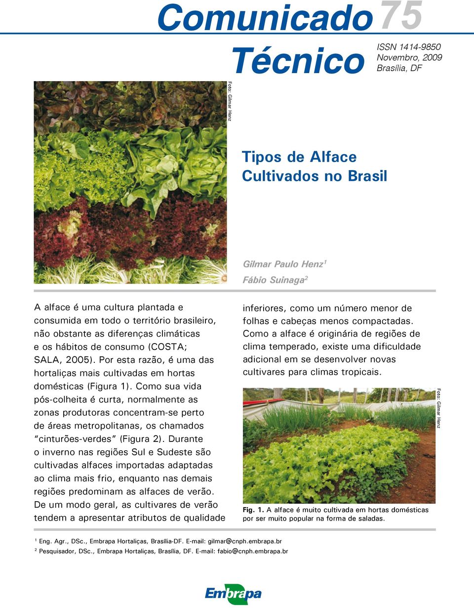 Como sua vida pós-colheita é curta, normalmente as zonas produtoras concentram-se perto de áreas metropolitanas, os chamados cinturões-verdes (Figura 2).