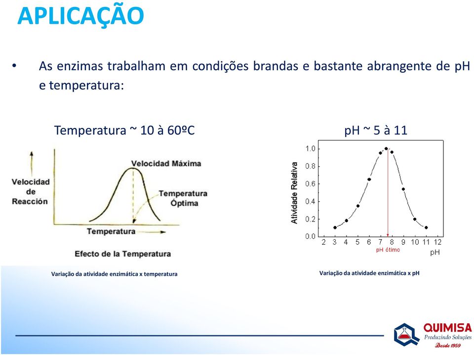 Temperatura ~ 10à60ºC ph~5à11 Variação da atividade