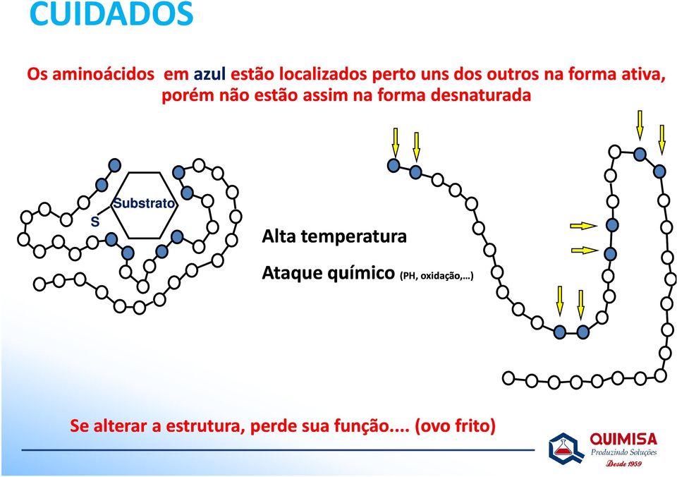 desnaturada S Substrato Alta temperatura Ataque químico (PH,