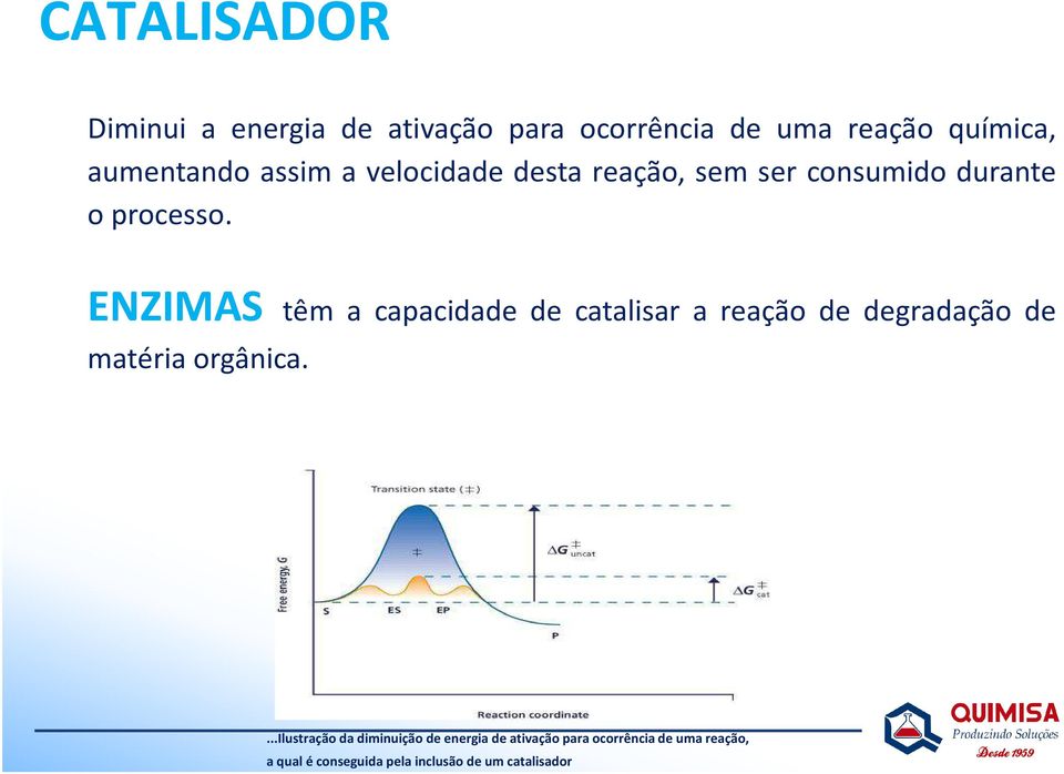 ENZIMAS têm a capacidade de catalisar a reação de degradação de matéria orgânica.