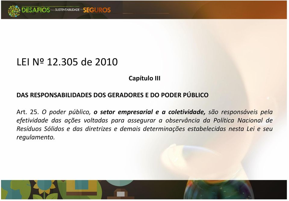 O poder público, o setor empresarial e a coletividade, são responsáveis pela efetividade