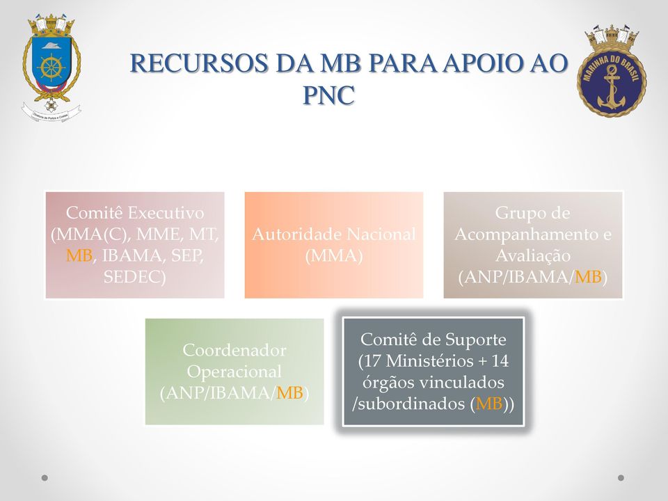 Acompanhamento e Avaliação (ANP/IBAMA/MB) Coordenador Operacional