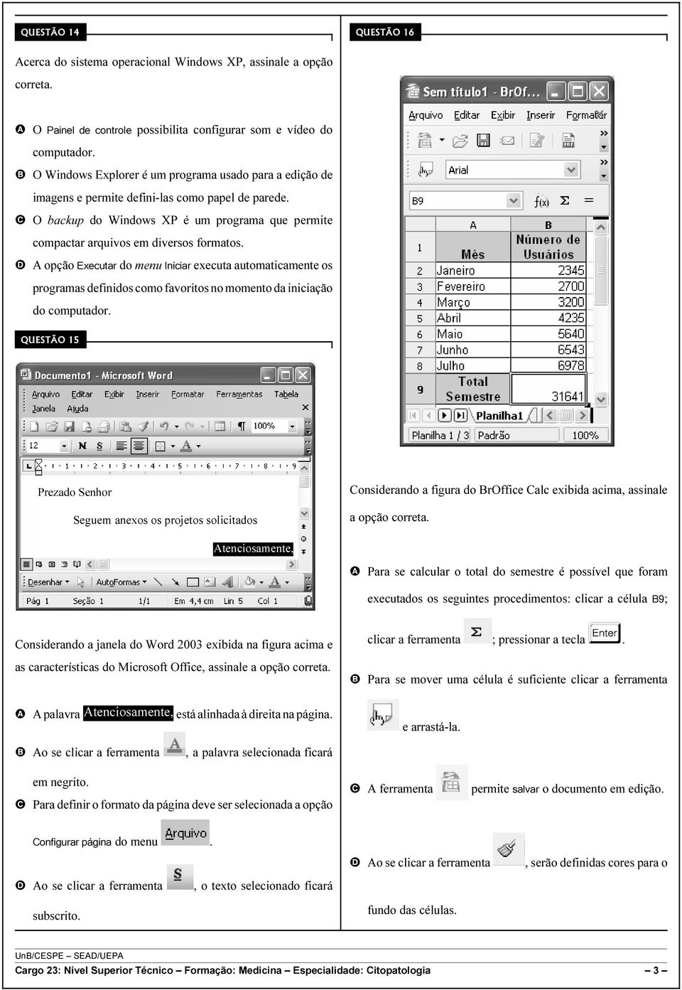 D A opção Executar do menu Iniciar executa automaticamente os programas definidos como favoritos no momento da iniciação do computador.