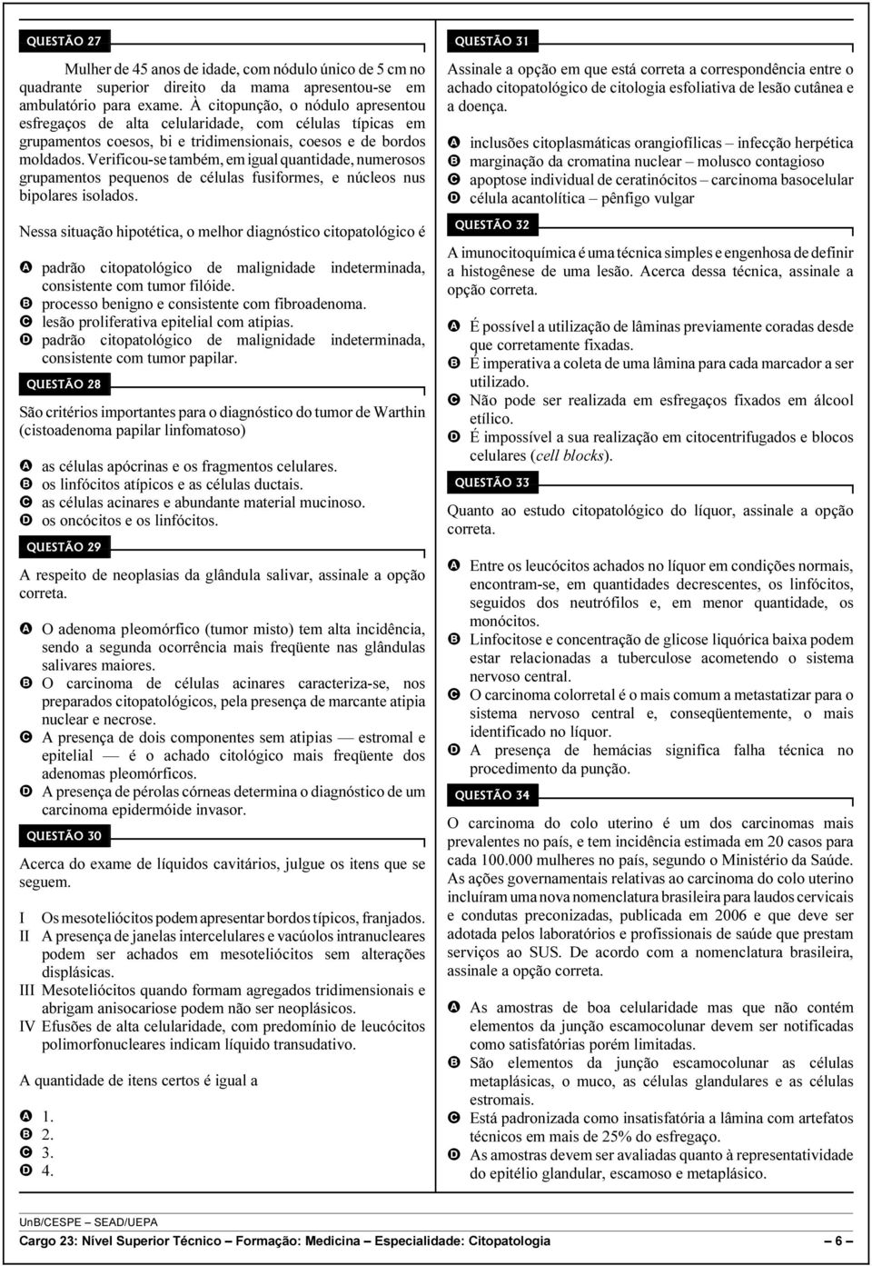 Verificou-se também, em igual quantidade, numerosos grupamentos pequenos de células fusiformes, e núcleos nus bipolares isolados.