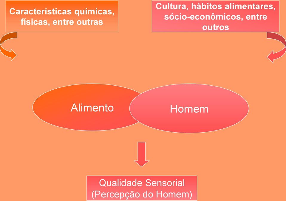 sócio-econômicos, entre outros Alimento