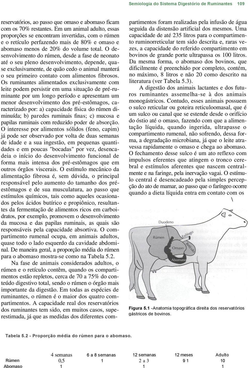 O desenvolvimento do rúmen, desde a fase de neonato até o seu pleno desenvolvimento, depende, quase exclusivamente, de quão cedo o animal manterá o seu primeiro contato com alimentos fibrosos.