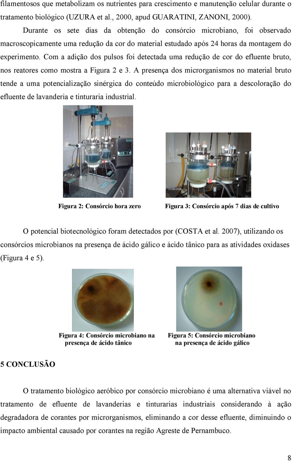 Com a adição dos pulsos foi detectada uma redução de cor do efluente bruto, nos reatores como mostra a Figura 2 e 3.