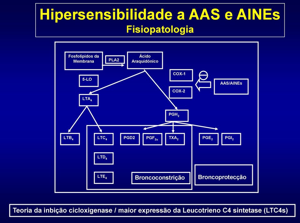PGD2 PGF 2 TXA 2 PGE 2 PGI 2 LTD 4 LTE 4 Broncoconstrição Broncoprotecção