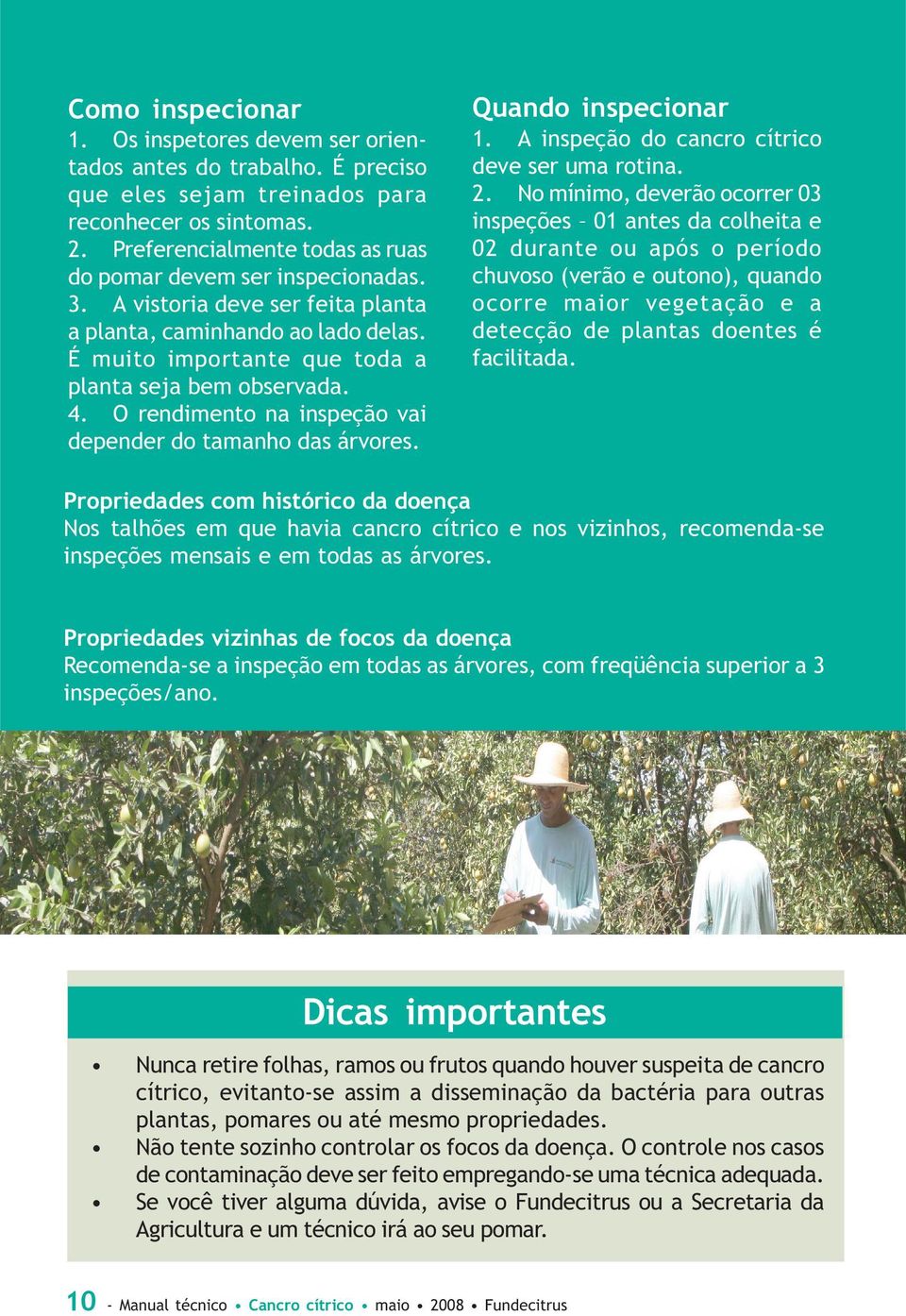 O rendimento na inspeção vai depender do tamanho das árvores. Quando inspecionar 1. A inspeção do cancro cítrico deve ser uma rotina. 2.