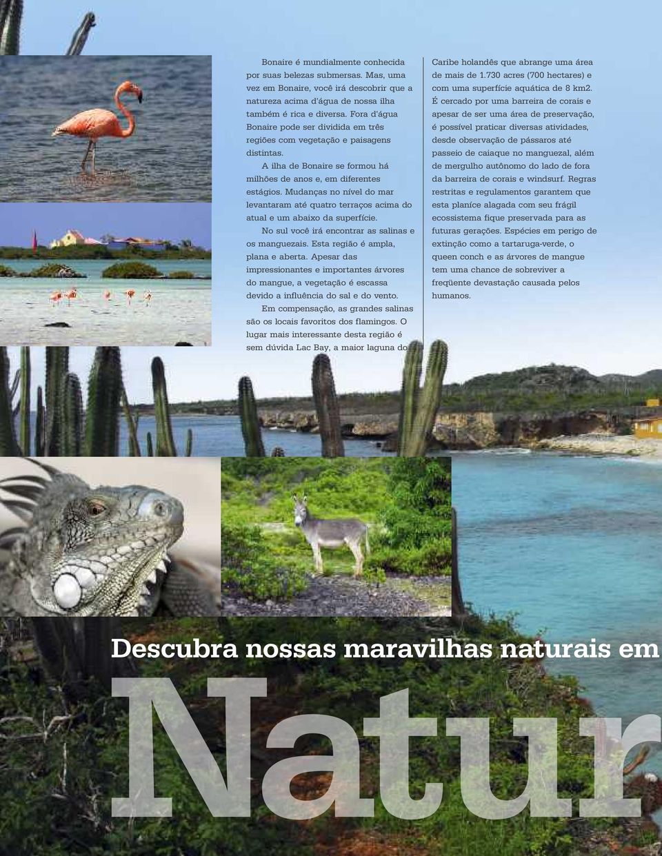 Mudanças no nível do mar levantaram até quatro terraços acima do atual e um abaixo da superfície. No sul você irá encontrar as salinas e os manguezais. Esta região é ampla, plana e aberta.