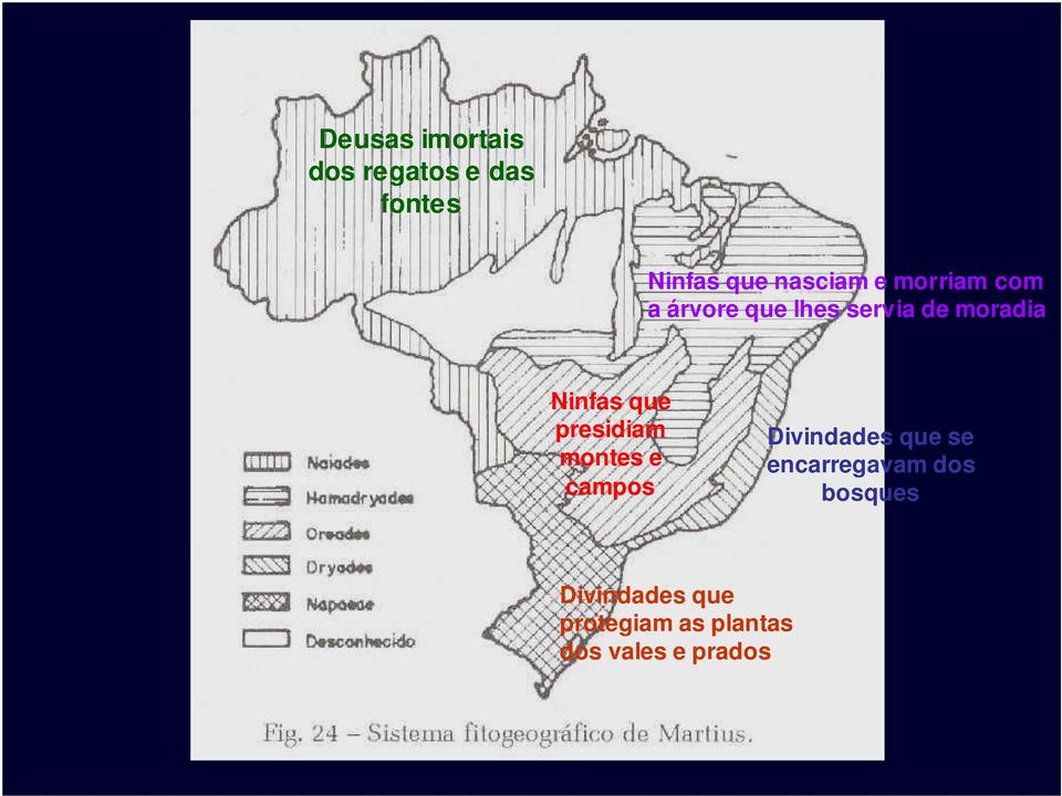 presidiam montes e campos Divindades que se encarregavam dos