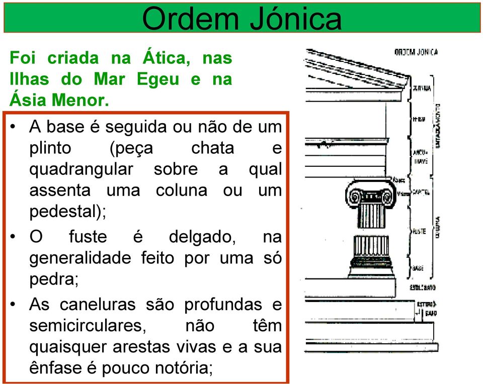 qual assenta uma coluna ou um pedestal); O fuste é delgado, na generalidade feito por