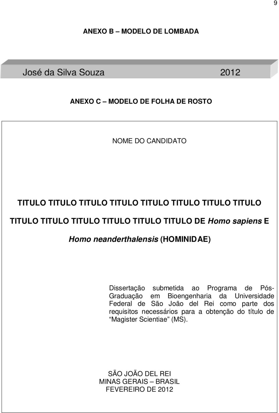 Dissertação submetida ao Programa de Pós- Graduação em Bioengenharia da Universidade Federal de São João del Rei como parte dos