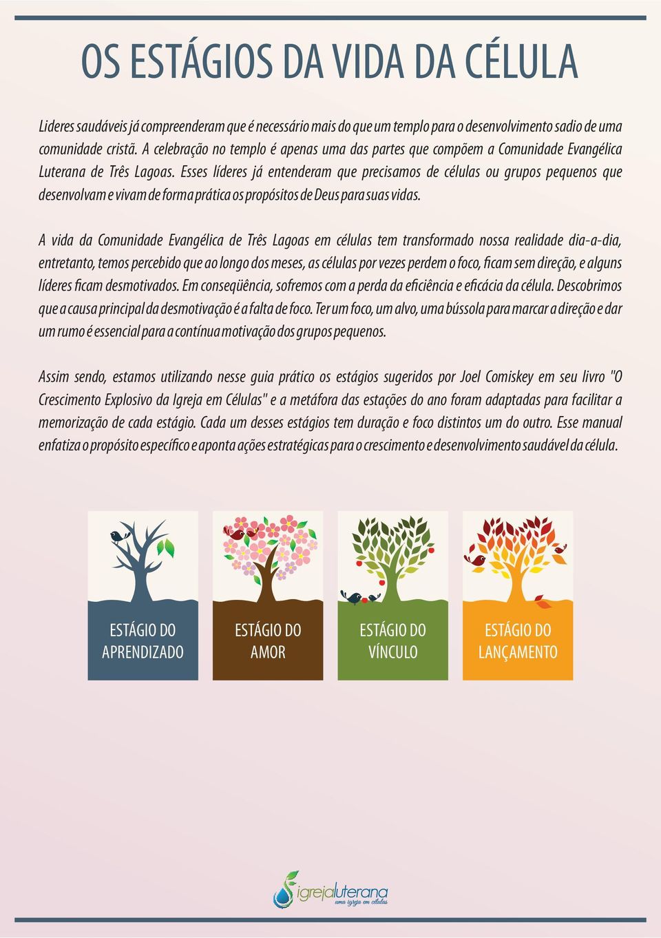 Esses líderes já entenderam que precisamos de células ou grupos pequenos que desenvolvam e vivam de forma prática os propósitos de Deus para suas vidas.