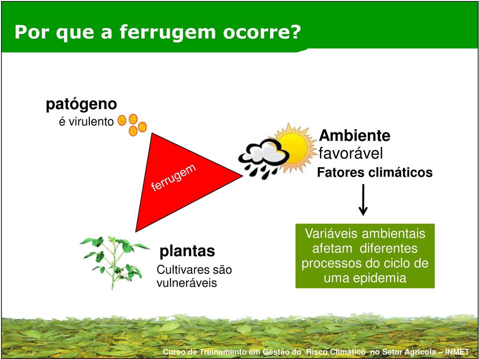 climáticos plantas Cultivares são vulneráveis