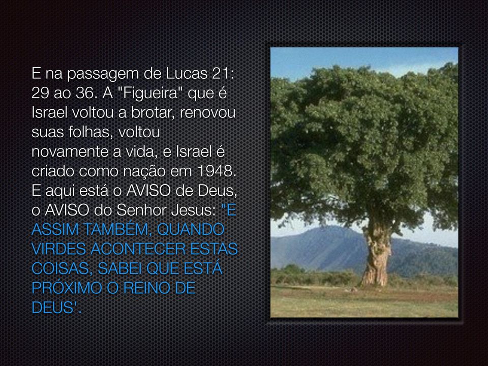 novamente a vida, e Israel é criado como nação em 1948.