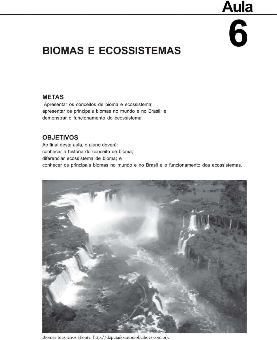 OBJETIVOS Ao final desta aula, o aluno deverá: conhecer a história do conceito de bioma; diferenciar ecossistema
