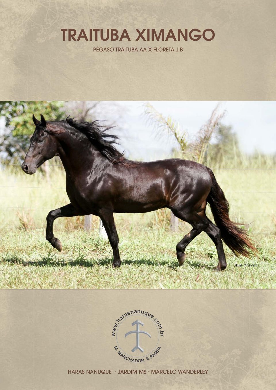 B Haras Nanuque -