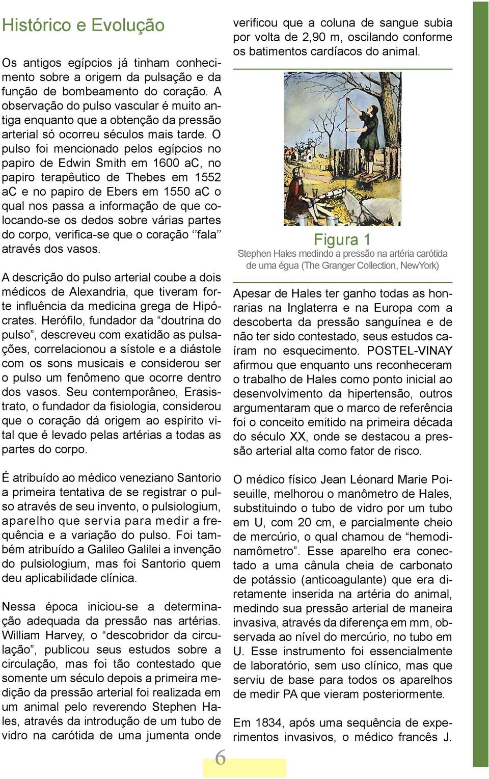 O pulso foi mencionado pelos egípcios no papiro de Edwin Smith em 1600 ac, no papiro terapêutico de Thebes em 1552 ac e no papiro de Ebers em 1550 ac o qual nos passa a informação de que colocando-se