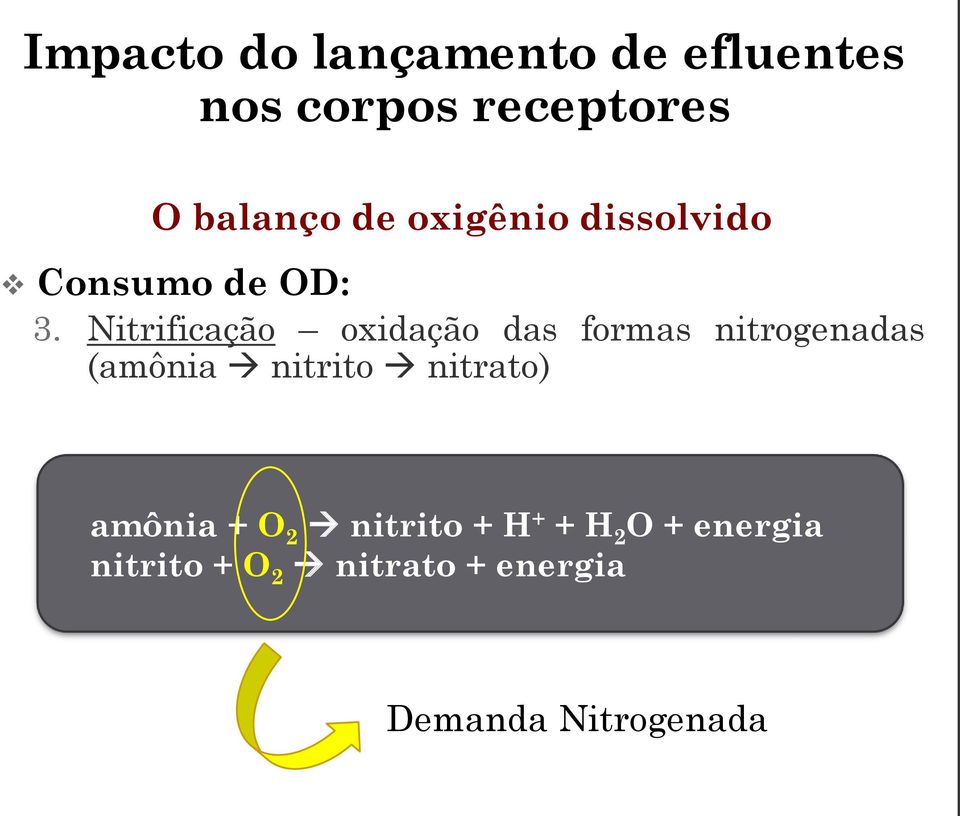 nitrito nitrato) amônia + O 2 nitrito + H + + H 2 O +
