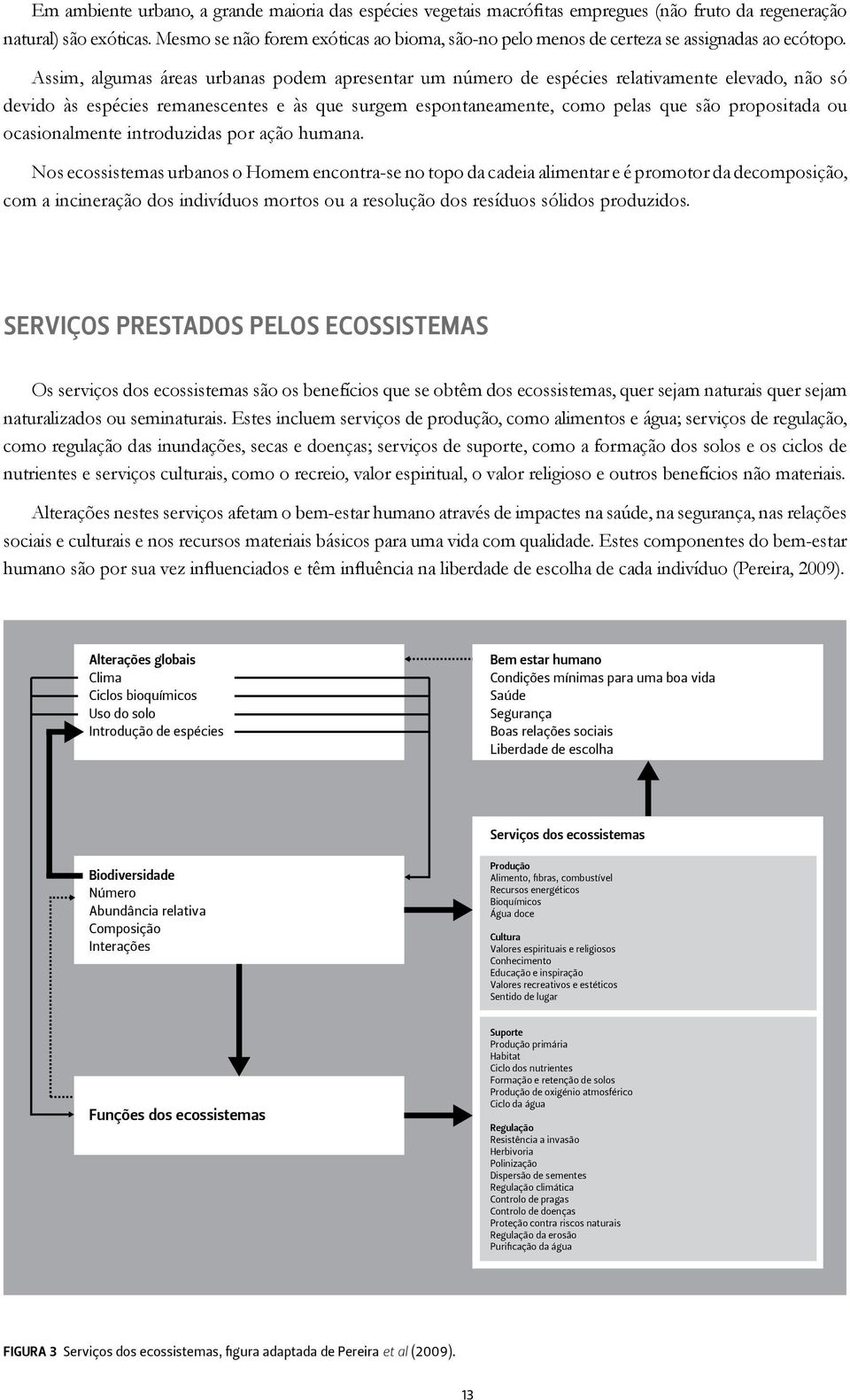 Assim, algumas áreas urbanas podem apresentar um número de espécies relativamente elevado, não só devido às espécies remanescentes e às que surgem espontaneamente, como pelas que são propositada ou