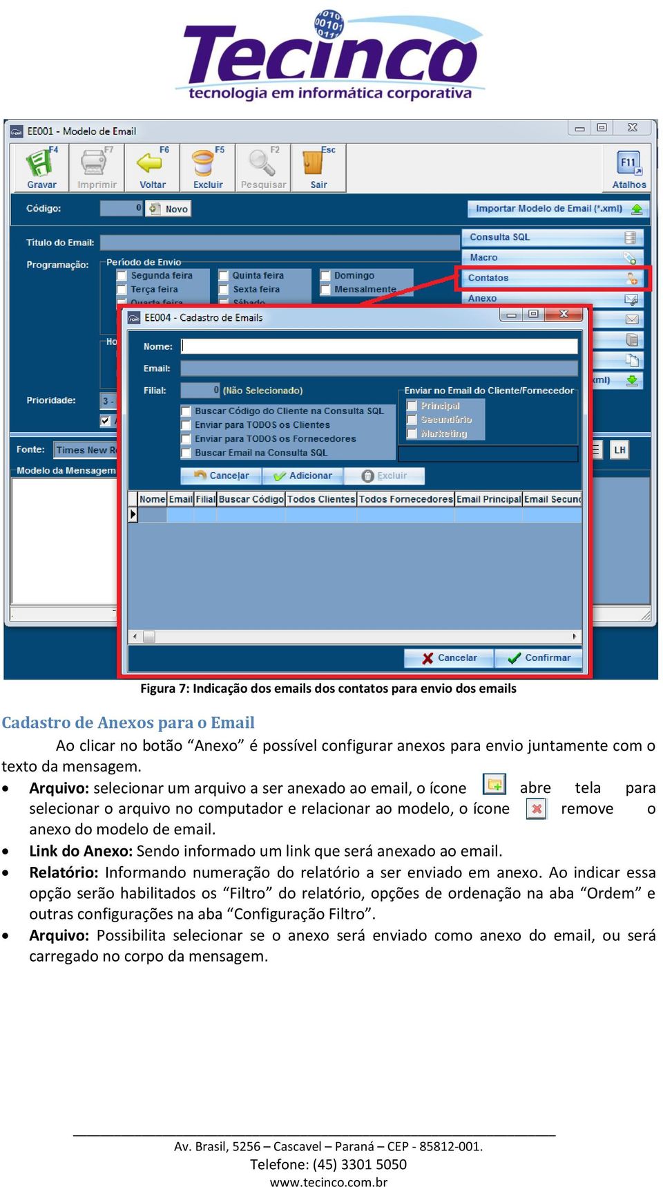 Link do Anexo: Sendo informado um link que será anexado ao email. Relatório: Informando numeração do relatório a ser enviado em anexo.