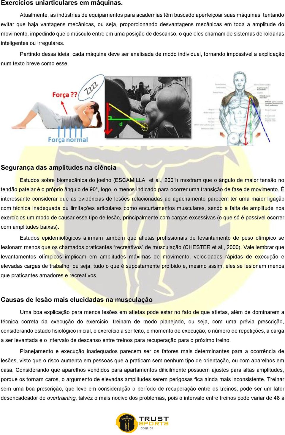 amplitude do movimento, impedindo que o músculo entre em uma posição de descanso, o que eles chamam de sistemas de roldanas inteligentes ou irregulares.