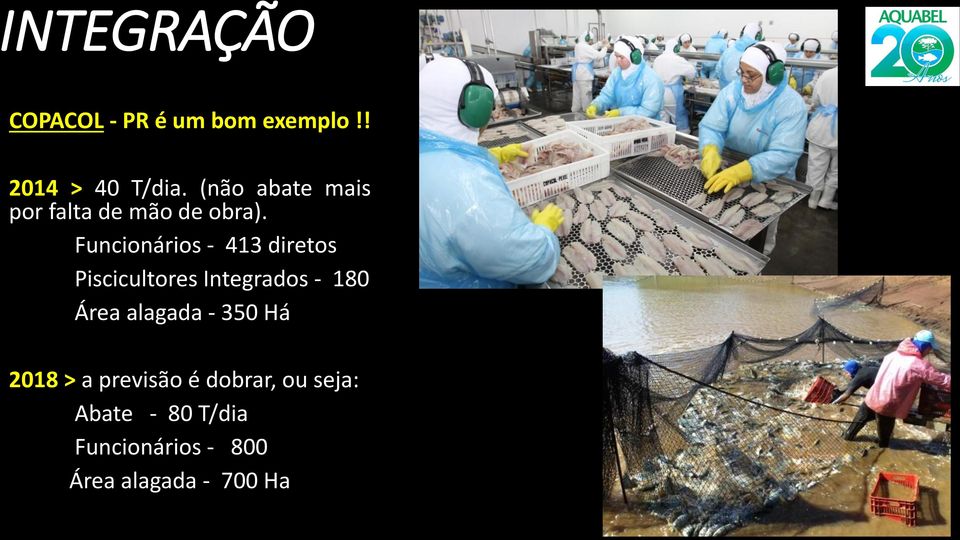 Funcionários - 413 diretos Piscicultores Integrados - 180 Área