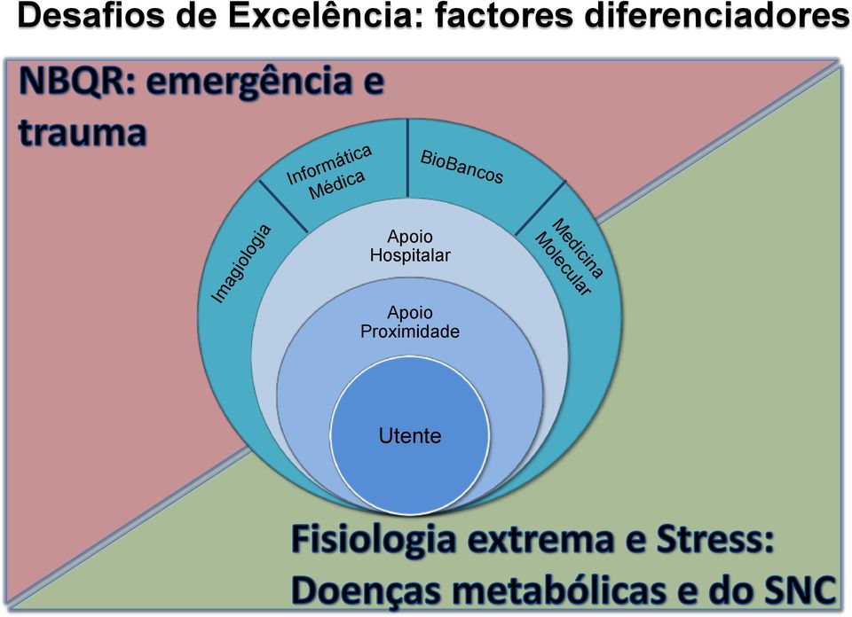 BioBancos Imagiologia Apoio