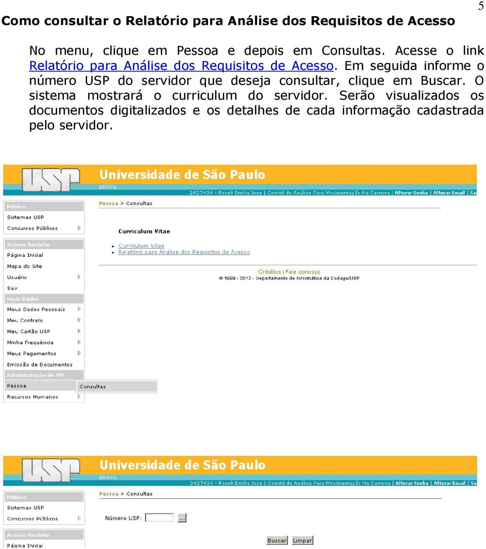 Em seguida informe o número USP do servidor que deseja consultar, clique em Buscar.