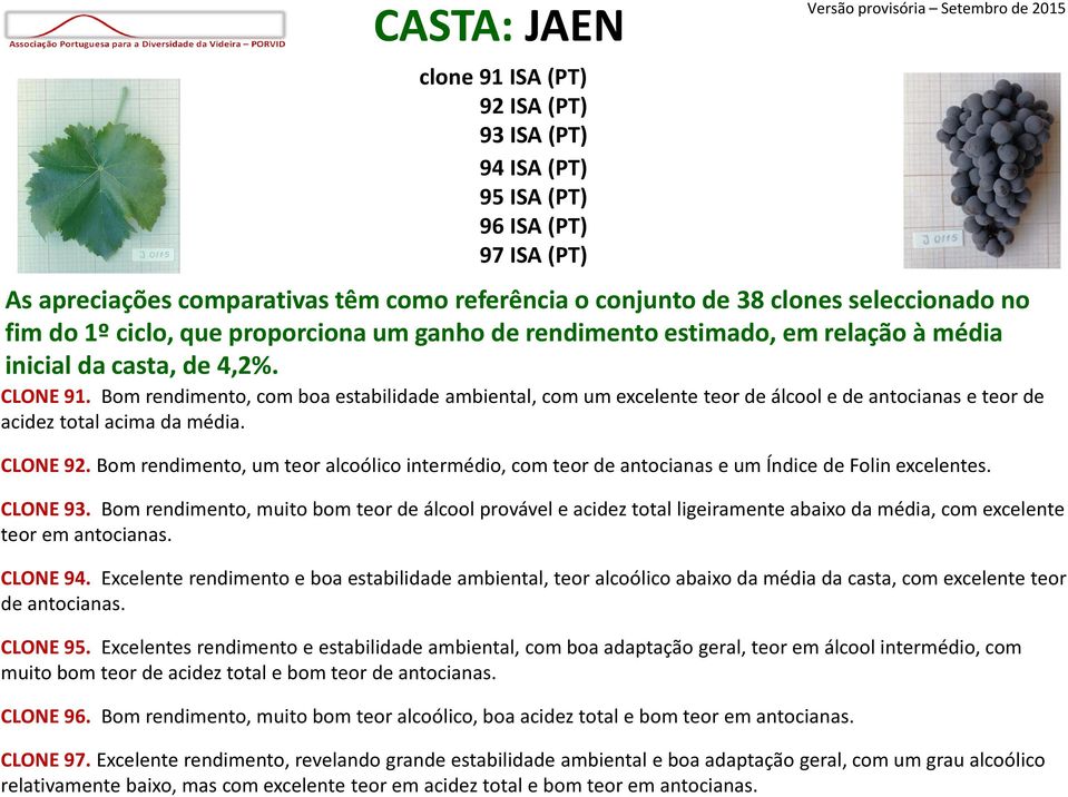 Bom rendimento, com boa estabilidade ambiental, com um excelente teor de álcool e de antocianas e teor de acidez total acima da média. CLONE 92.